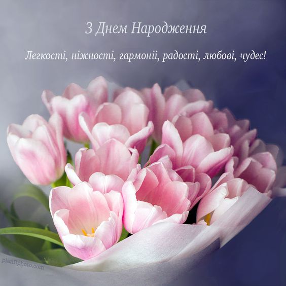 28 березня День народження святкує депутат Червоноградської районної ради Олеся Пиріг!