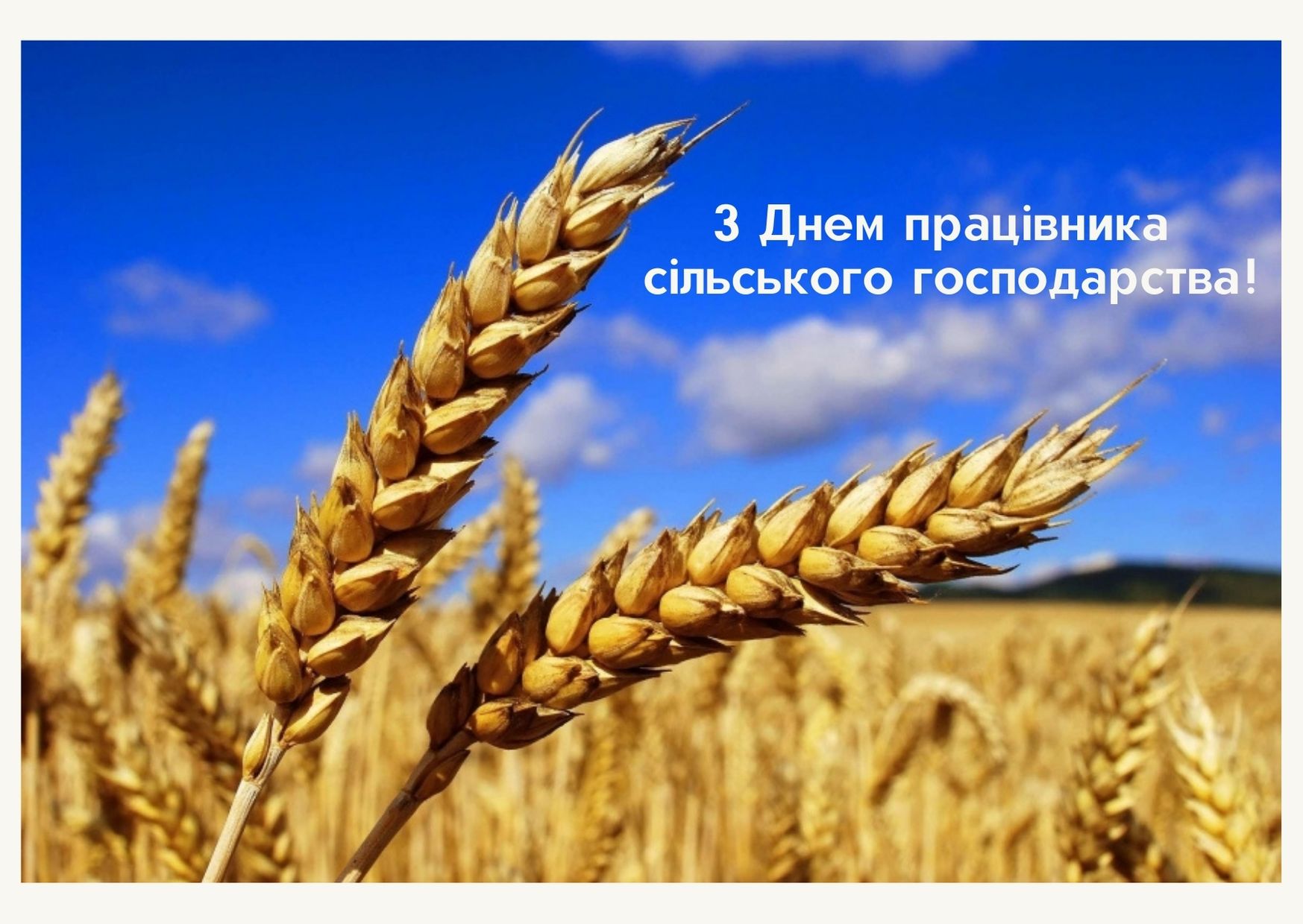 Привітання з Днем працівників сільського господарства